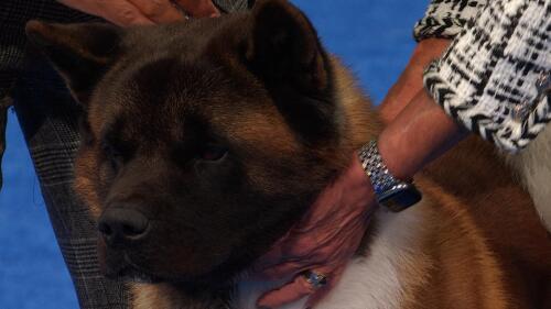 优质服务,遍布全国